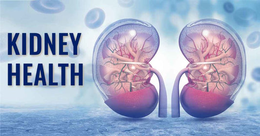 Maintaining Kidney Health: The Crucial Link Between Blood Pressure and Renal Function