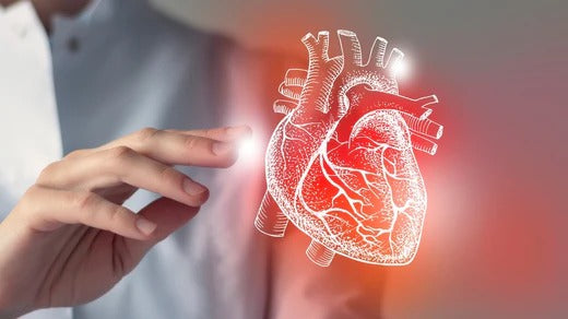 Practical Steps to Increase HDL Levels and Protect Your Heart