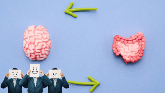 How Your Gut Affects Your Mood