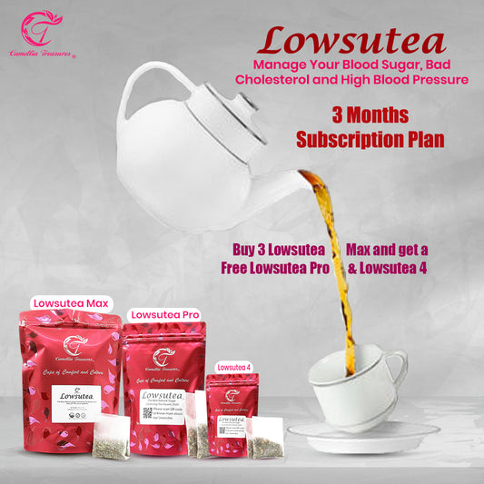 3 Months Subscription Plan: Buy 3 Lowsutea Max and get a Free Lowsutea Pro & Lowsutea 4