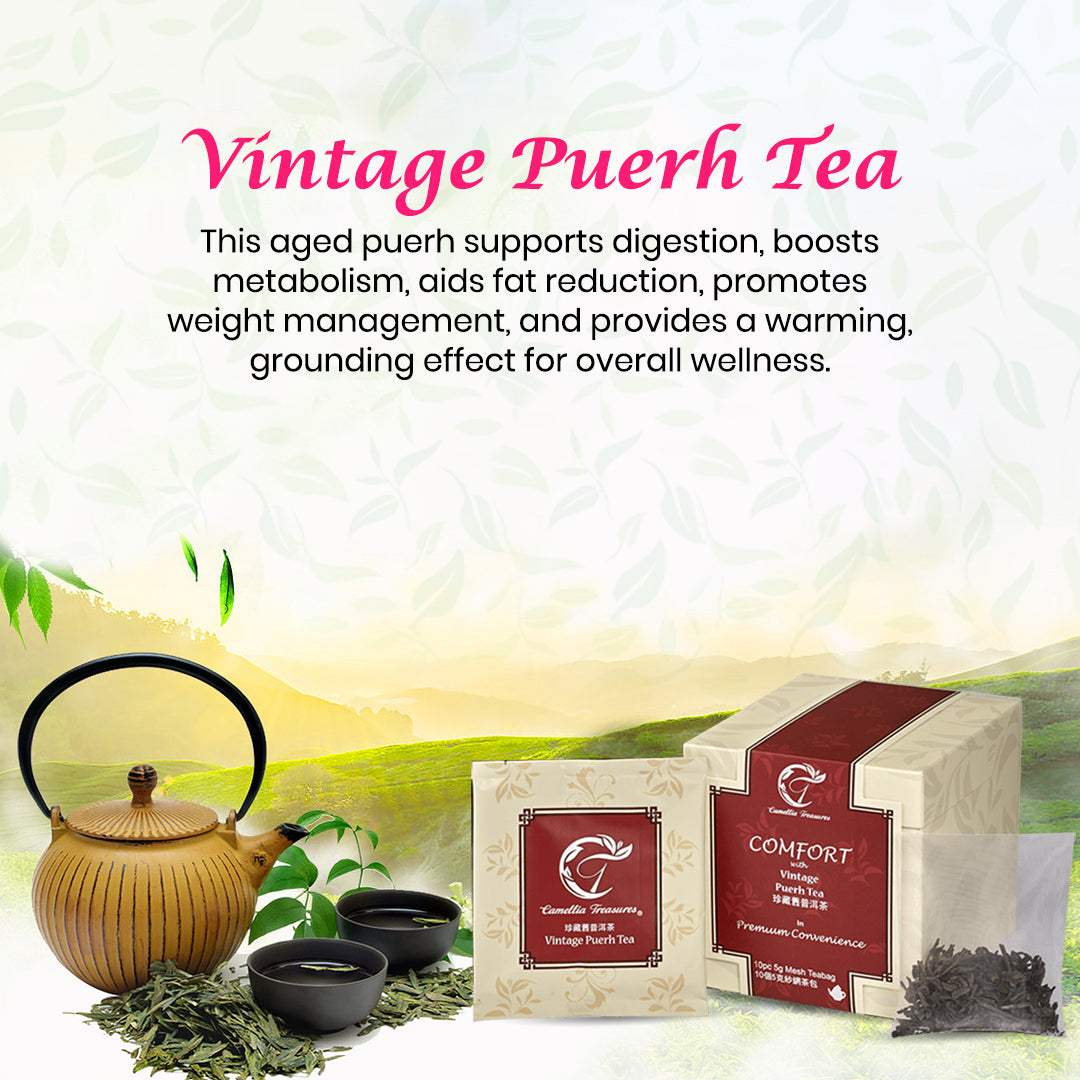 珍藏舊普洱茶 – CT Teas